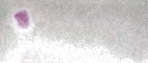 anaglyph,pseudospectral,spectroscopic,multispectral,spectrogram,nebulosity,spectrographic,photopigment,scanline,framebuffer,methone,spectrally,glsl,panspermia,microlensing,retina nebula,generated,extragalactic,kinemacolor,blank frames alpha channel,Unique,3D,Toy