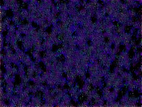 stereograms,background pattern,purpleabstract,stereogram,generated,degenerative,seamless texture,dithered,bitmapped,purple blue ground,crayon background,memphis pattern,vector pattern,moquette,purple pageantry winds,wavelet,generative,microsimulation,seamless pattern repeat,dot pattern,Photography,General,Realistic