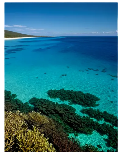 Bright blue ocean, calm waves, tropical atmosphere, clear water, sunlight reflection, seaweed, coral reef, schools of small fish, distant horizon, panoramic view, soft focus, warm lighting, vivid colo