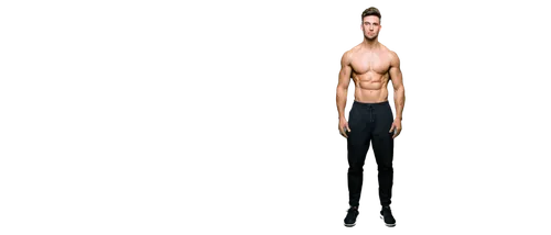 derivable,standing man,3d man,slenderness,3d figure,articulated manikin,slender,contrapposto,gormley,torso,3d model,anthropometry,3d rendered,anthropometric,boy model,male poses for drawing,human body,a wax dummy,manikin,mannequin,Illustration,Retro,Retro 25