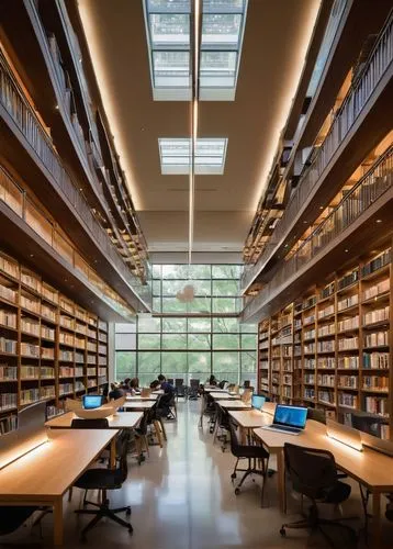 bibliotheek,hallward,carrels,epfl,university library,staatsbibliothek,bibliotheque,bibliothek,schulich,interlibrary,libraries,technion,bookbuilding,reading room,archivists,radboud,bibliotheca,bibliographical,oclc,study room,Illustration,Realistic Fantasy,Realistic Fantasy 15