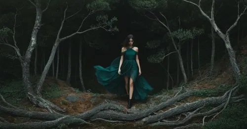 ballerina in the woods,mirkwood,enchanted forest,seelie,dryad,the enchantress,Photography,Documentary Photography,Documentary Photography 08