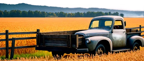 ford truck,tilled,rust truck,stubble field,grain field,country style,heartland,country,countrie,country side,hayrides,grain harvest,countrified,harvester,hayseed,straw field,wheat fields,wheat crops,wheat field,hayfields,Illustration,Vector,Vector 03