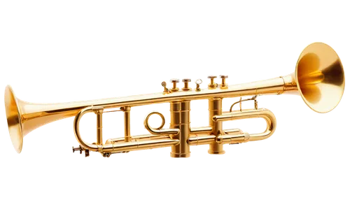 flugelhorn,gold trumpet,tuba,brass instrument,trumpet gold,saxhorn,trumpet,tubas,fanfare horn,trumpet shaped,instrument trumpet,trumpet of jericho,brass,euphonium,trumpets,climbing trumpet,stallybrass,saxophone,trumpet valve,tubist,Illustration,Black and White,Black and White 23