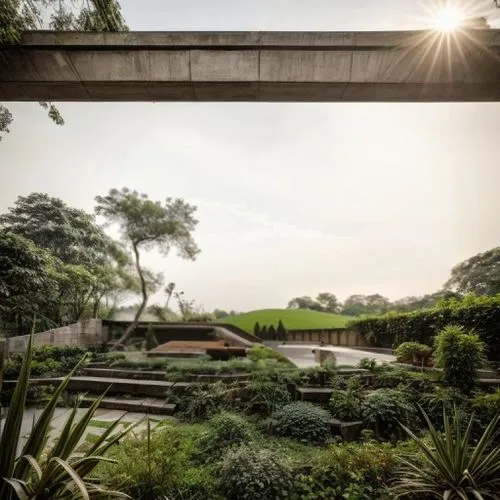 there is a walkway going through some plants,royal botanic garden,fordlandia,gardens by the bay,macritchie,gondwanaland,auroville