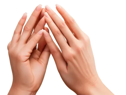 praying hands,align fingers,folded hands,palm reading,clapping,hand sign,hand disinfection,hand gesture,prayer,pray,hands holding plate,human hands,sign language,raised hands,woman hands,hands,reach out,cover your face with your hands,healing hands,handshake icon,Photography,General,Cinematic