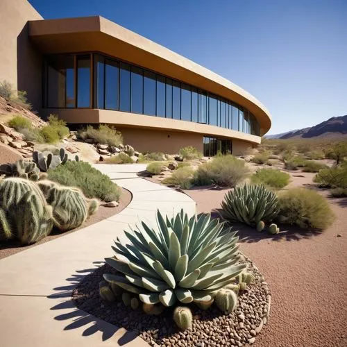 xeriscaping,desert plant,desert plants,dunes house,organ pipe cactus,dutchman's-pipe cactus,arizona-sonora desert museum,landscapre desert safari,earthship,desert desert landscape,desert landscape,arcosanti,welwitschia,cactuses,agaves,sonoran desert,arid landscape,mid century modern,mid century house,cacti,Conceptual Art,Oil color,Oil Color 18