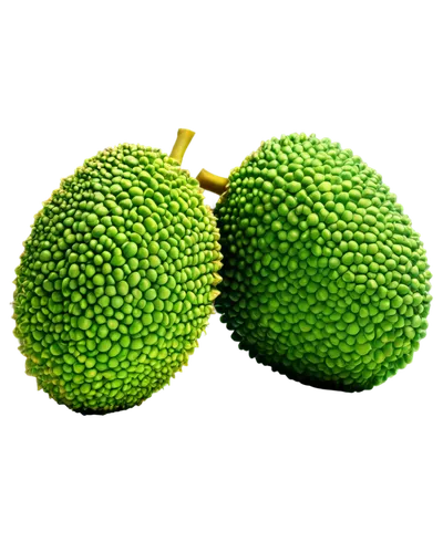 breadfruit,kaki fruit,chayote,avacado,durian seed,jackfruit,aegle marmelos,mangifera,pitahaya,soursop,durian,muskmelon,coxinha,artocarpus,kiwi fruit,cocos nucifera,kiwifruit,accessory fruit,common guava,pitahaja,Conceptual Art,Oil color,Oil Color 13