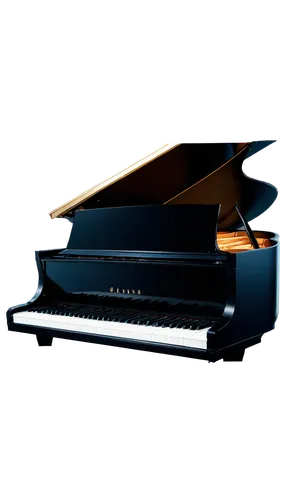 grand piano,steinway,bosendorfer,piano keyboard,piano,pianoforte,boesendorfer,the piano,play piano,pianist,steinways,clavinet,disklavier,pianistic,pianola,lopiano,pianos,mellotron,carpianum,fortepiano,Illustration,Vector,Vector 11