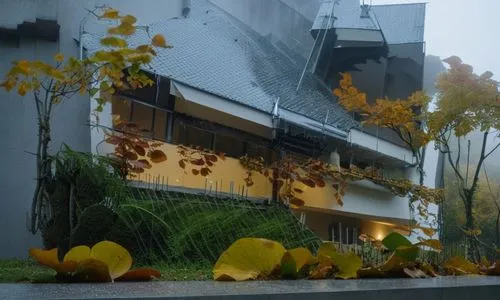 autumn trees and leaves in front of building,hurricane benilde,cinemalaya,safdie,javeriana,hejduk,lasdun,Photography,General,Realistic