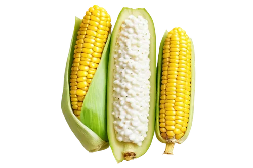 maize,corn,corn on the cob,sweetcorn,sweet corn,playcorn,corn kernels,ears of corn,corn salad,corn ordinary,creamed corn,winter corn,cob,ornamental corn,kernels,forage corn,corn straw,cornales,poppy on the cob,corn starch,Art,Artistic Painting,Artistic Painting 05