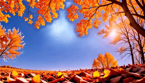 autumn background,autumn landscape,fall landscape,autumn scenery,sky of autumn,autumn forest,autumn tree,colors of autumn,autumn sky,autumn trees,autumn sun,light of autumn,autumn day,autumn mountains,autumn icon,autumn frame,autumn idyll,fall foliage,golden autumn,round autumn frame,Unique,Design,Logo Design