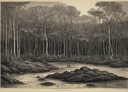 robert duncanson,forest landscape,riparian forest,lithograph,old-growth forest,brook landscape,the roots of the mangrove trees,cool woodblock images,tropical and subtropical coniferous forests,temperate broadleaf and mixed forest,forest dieback,gum trees,river landscape,coastal landscape,edward lear,walnut trees,mountain scene,the forests,northwest forest,chestnut forest,Illustration,Retro,Retro 22