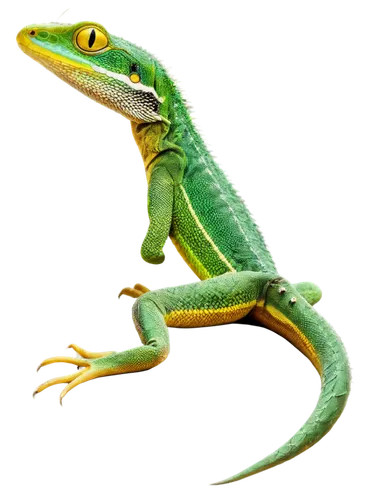 Reptile, green lizard, solo, scaly skin, long tail, sharp claws, yellow eyes, sitting, front view, low angle shot, natural light, warm color tone, high contrast, detailed texture, shallow depth of fie