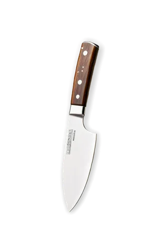 bowie knife,kitchen knife,hunting knife,utility knife,wood trowels,herb knife,kitchenknife,pocket knife,machete,knife kitchen,hand trowel,table knife,serrated blade,trowel,colorpoint shorthair,sharp knife,beginning knife,knife,handsaw,meat cutter,Conceptual Art,Oil color,Oil Color 13