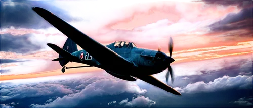 polikarpov,helldiver,warbird,nightfighter,focke,gloster,spitfire,vought,saulnier,stuka,jet and free and edited,beaufighters,ju 52,warplane,dogfight,fieseler,seafire,warbirds,tailgunner,havilland,Photography,Artistic Photography,Artistic Photography 01