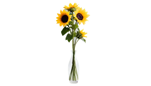 Tall sunflowers, bright yellow petals, dark brown centers, thick stems, green leaves, solo, bouquet, vase, morning sunlight, soft focus, shallow depth of field, warm color tone, 3/4 composition, cinem