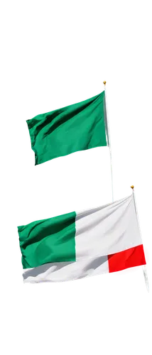 italian flag,united arab emirates flag,bulgaria flag,uae flag,italy flag,flag of uae,segugio italiano,omani,race flag,flag of iran,volpino italiano,national flag,apulia,country flag,alghero,hd flag,euforbia,genoa,veneto,greed,Conceptual Art,Oil color,Oil Color 16