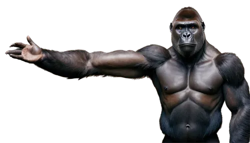 gorilla,silverback,shabani,prosimian,ape,apeman,simian,gigantopithecus,grodd,primate,derivable,primatologist,gorillas,silverbacks,jarawa,palaeopropithecus,hominoid,australopithecus,utan,3d render,Conceptual Art,Oil color,Oil Color 06