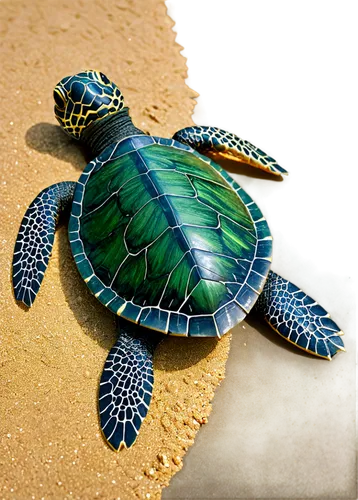 green turtle,sea turtle,loggerhead turtle,caretta,leatherback turtle,tortuguero,turtle pattern,tortugas,painted turtle,tortuga,terrapin,loggerhead,turtletaub,water turtle,land turtle,turtle,tortue,hawksbill,trachemys,restoration,Art,Classical Oil Painting,Classical Oil Painting 44