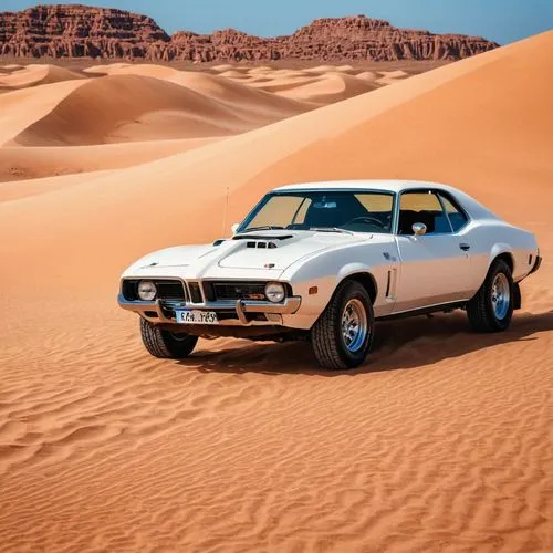 For the desert challenge:
A sandy dresses collection,desert safari,pontiac trans-am 1970,oldsmobile 442,desert run,lamborghini espada,pontiac firebird,yenko camaro,lamborghini jarama,chevrolet camaro,