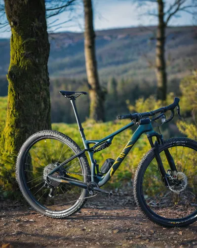 CANYON Bikes: CANYON Neuron 2019: перезагрузка,singletrack,mountain bike,bmc ado16,cyclo-cross bicycle,mountain biking,mtb,downhill mountain biking,cycle sport,cross-country cycling,forest of dean,cro