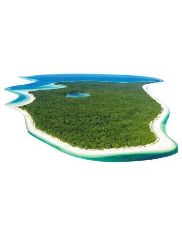 atoll from above,atoll,heron island,cayo largo island,kei islands,cayo coco,cayo largo,uninhabited island,green island,wakatobi,artificial islands,island,islands,cook islands,deserted island,island suspended,flying island,veligandu island,an island far away landscape,great barrier reef,Photography,Black and white photography,Black and White Photography 03