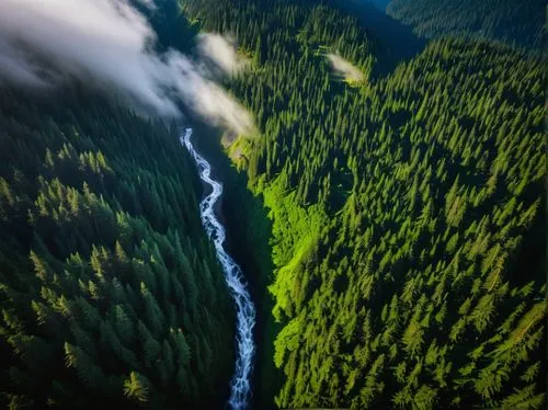 Aerial view, Washington State, Mount Rainier, misty mountains, lush green forests, rugged terrain, winding roads, scenic byways, waterfalls, Puget Sound, Olympic Peninsula, misty morning, warm sunligh