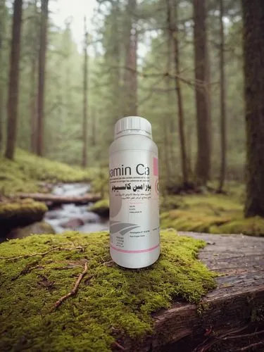 gluten-free beer,trillium,eastern hemlock,ginseng,packshot,canadian fir,slippery elm,tin can,canoe birch,red pine,beer can,cans,energy drink,cans of drink,cola can,kombucha,temperate coniferous forest