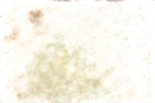 xanthomonas,seamless texture,transparent image,background texture,angioma,yeasts,brown mold,transparent background,oil stain,depigmentation,angiomas,keratosis,degenerative,pollens,backgrounds texture,meditrust,sediment,mold,free background,neurospora,Illustration,Vector,Vector 16