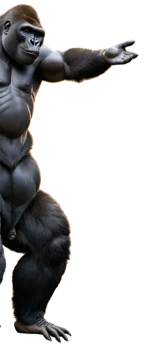 silverback,krausert,werewolve,muscle man,otterman,gorilla,shugarman,gimlin,apeman,simian,ape,prosimian,mammal,ebz,3d rendered,tyrannize,body building,pec,electrocutionist,energex,Illustration,Black and White,Black and White 01