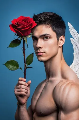 rose png,cupid,romantic rose,bicolored rose,with roses,valentin,saint valentine's day,valentine day's pin up,male ballet dancer,red rose,male model,cupido (butterfly),yellow rose background,flowers png,rose,romantic portrait,valentine pin up,eros,spray roses,valentine's day clip art,Photography,Documentary Photography,Documentary Photography 24