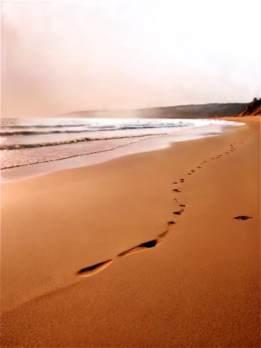 Golden sand, beach scene, sunny day, soft focus, shallow depth of field, warm color tone, cinematic lighting, close-up shot, individual grains visible, gentle waves in background, serene atmosphere, n