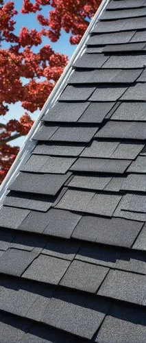 slate roof,roof tiles,roofing work,roofing,roof tile,roof landscape,roof panels,house roof,roof plate,house roofs,tiled roof,shingled,shingles,shingling,shingle,metal roof,roofing nails,folding roof,red roof,roofs,Conceptual Art,Fantasy,Fantasy 03