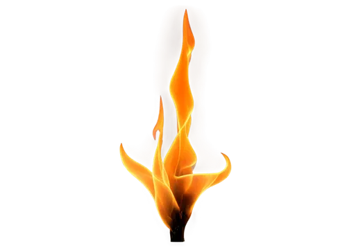 fire logo,fire background,firespin,flaming torch,the conflagration,conflagration,fire ring,olympic flame,fire-eater,gas flame,burning torch,flame of fire,fire screen,pillar of fire,fire in fireplace,cleanup,arson,dancing flames,inflammable,torch tip,Conceptual Art,Daily,Daily 09