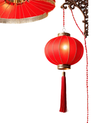 oriental lantern,red lantern,hanging lantern,christmas lantern,guobao,asian lamp,illuminated lantern,lanterns,pallonji,lantern string,lampion,pangu,jinbao,qingcheng,qingxi,epoxi,christmas balls background,mid-autumn festival,qibao,lifeng,Photography,Documentary Photography,Documentary Photography 09