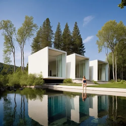 tugendhat,house with lake,modern house,forest house,summer house,eisenman,serralves,beyeler,mirror house,dinesen,house in the forest,pool house,dunes house,cube house,pavillon,bohlin,modern architecture,lohaus,cubic house,aalto,Photography,General,Realistic