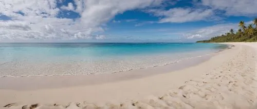 caribbean beach,white sandy beach,caribbean sea,tropical beach,green water,south sea,Photography,General,Natural