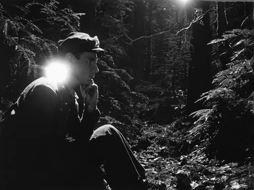 headlamp,forest man,woodsman,james dean,queen-elizabeth-forest-park,man holding gun and light,forest dark,wolfman,redwoods,elvis presley,silvertip fir,hiker,forestry,rifleman,silhouette of man,wilderness,guiding light,darkroom,album cover,northwest forest,Photography,Black and white photography,Black and White Photography 13