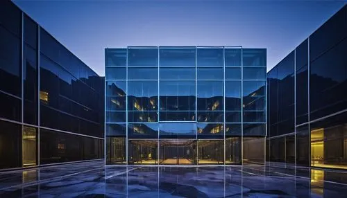 Association architecture, modern building, sleek lines, glass facade, steel frame, futuristic design, urban setting, cityscape, night scene, neon lights, reflection in windows, symmetrical composition