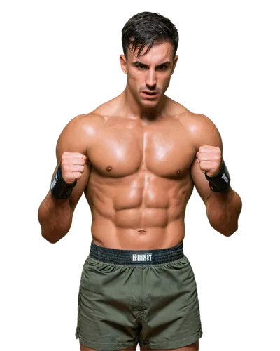 Muscular man, boxer, athletic build, sweaty skin, intense gaze, messy short hair, boxing gloves, ripped boxing shorts, defined chest muscles, six-pack abs, strong legs, standing pose, fists clenched, 