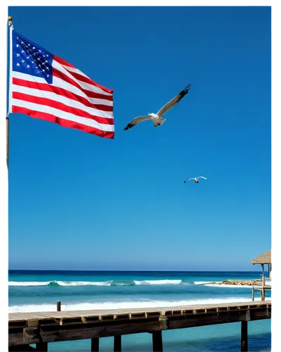 patriotically,great white pelicans,ponte vedra beach,independance,colorful flags,americanism,seagrove,kitty hawk,sea gulls,united state,allmerica,freedom,puerto rico,flagler,amerio,seaside country,sandbridge,pensacola,wrightsville,fishing pier,Illustration,Japanese style,Japanese Style 20