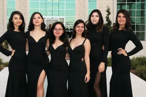 money heist,business women,3d albhabet,clone jesionolistny,girl group,black dresses,rv,clones,composite,trash the dres,miss circassian,lily family,kapparis,businesswomen,hierochloe,i̇mam bayıldı,celti