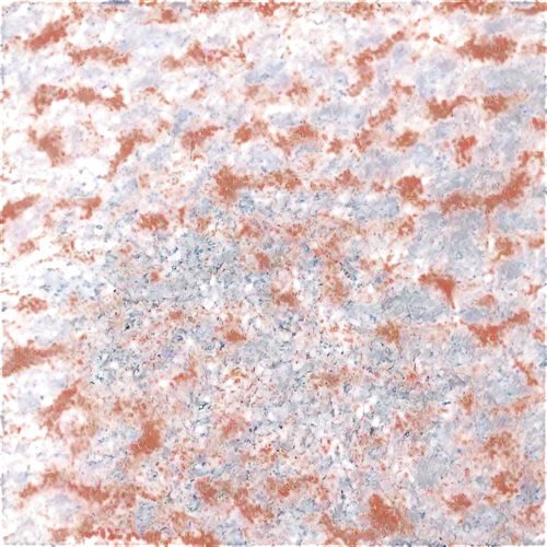 mermaid scales background,venus surface,epidermis,marbling,terrazzo,biofilms,kngwarreye,cytokeratin,epidermidis,marbleized,biofilm,trypanosoma,pneumococci,epidermal,microstructure,enterococci,globules,immunohistochemical,coral swirl,porphyry,Illustration,Paper based,Paper Based 04