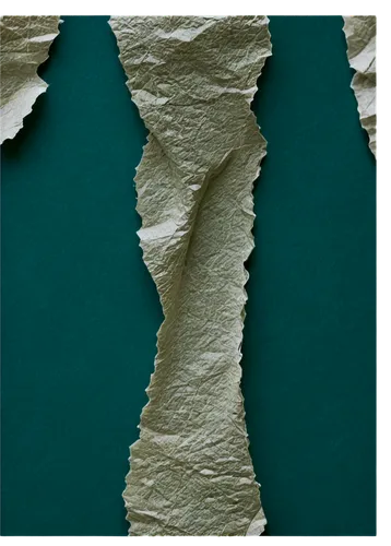 isolated product image,green folded paper,microstructure,microstructures,delamination,laminae,microstructural,coconut leaf,apnea paper,plant veins,micrographs,torn paper,microsporum,microscopical,leaf structure,recrystallized,submicroscopic,nanocellulose,connective tissue,vastola,Illustration,Black and White,Black and White 10