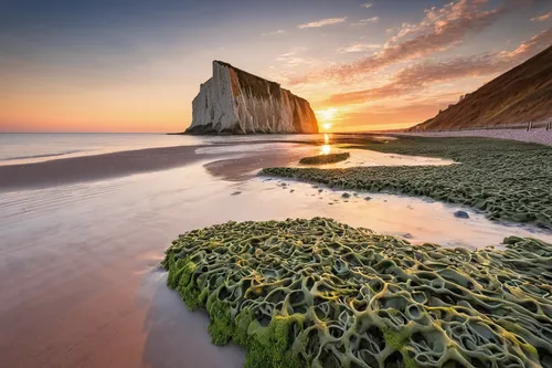 View of sandy beach and seaweed covered rock at sunset, Reculver, Kent, England, United Kingdom, Europe,dorset,jurassic coast,etretat,cliffs of etretat,chalk cliff,cliffs etretat,seven sisters,bass ro