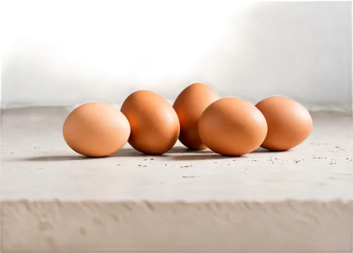 brown eggs,eggs,chicken eggs,egg shells,free-range eggs,egg,range eggs,white eggs,fresh eggs,colored eggs,goose eggs,broken eggs,eggshells,brown egg,zoeggler,egg carton,organic egg,egg shell,chicken egg,oeuvres,Art,Artistic Painting,Artistic Painting 42