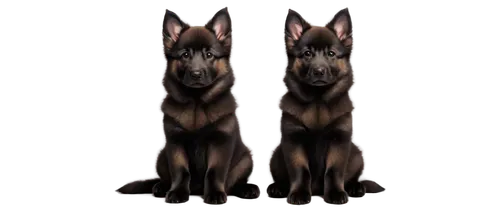 derivable,dobermans,german shepards,belgian shepherd dog,doberman,malinois,kelpie,black german shepherd,dutch shepherd dog,german shepherd dog,pinscher,alsatians,doberan,australian kelpie,black shepherd,anubis,dobie,alsatian,gsd,malinois and border collie,Conceptual Art,Graffiti Art,Graffiti Art 11