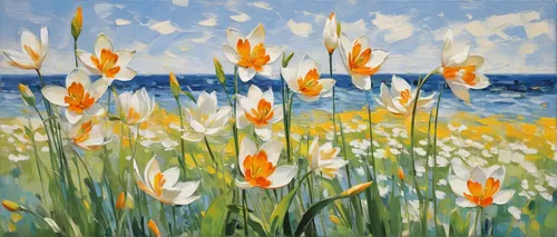 Compose a haiku inspired by ornithogalum's graceful blooms swaying in the breeze.,tulipa,tommie crocus,wild tulips,orange tulips,daffodils,lillies,tulipa tarda,crocuses,jonquils,crocus flowers,crocuss