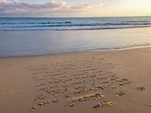 footprints in the sand,footprints,baby footprints,tracks in the sand,bird footprints,foot prints,message in a bottle,sand art,calligraphy,fraser island,sand pattern,footprint in the sand,marriage proposal,chalk traces,sand paths,love message note,mantra om,golden sands,byron bay,sparkler writing,Illustration,American Style,American Style 11